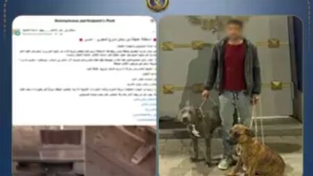 الداخلية تكشف ملابسات واقعة نفوق قطة إثر هجوم كلبين بالإسكندرية