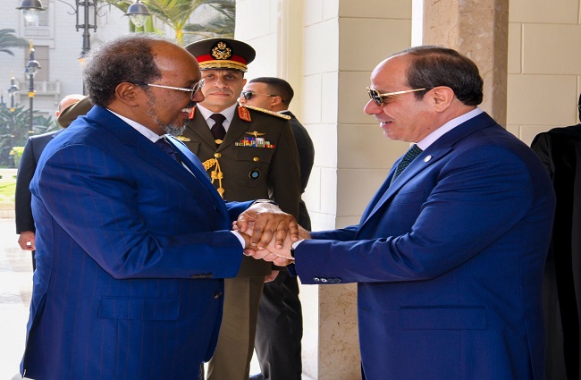 تفاصيل زيارة رئيس الصومال لقصر الاتحادية ولقاء السيسي.. صور