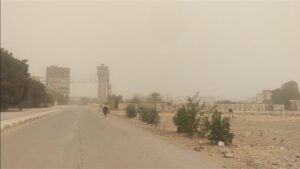 "الزراعة" تُصدر توصيات عاجلة للمزارعين لتجنب الآثار السلبية للتقلبات الجوية الحالية