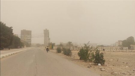 "الزراعة" تُصدر توصيات عاجلة للمزارعين لتجنب الآثار السلبية للتقلبات الجوية الحالية "الزراعة" تُصدر توصيات عاجلة للمزارعين لتجنب الآثار السلبية للتقلبات الجوية الحالية