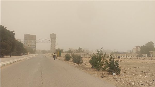 "الزراعة" تُصدر توصيات عاجلة للمزارعين لتجنب الآثار السلبية للتقلبات الجوية الحالية "الزراعة" تُصدر توصيات عاجلة للمزارعين لتجنب الآثار السلبية للتقلبات الجوية الحالية