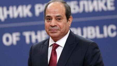 الرئيس السيسي يستعرض نجاحات القيادة المصرية خلال رئاسة الـ "نيباد"