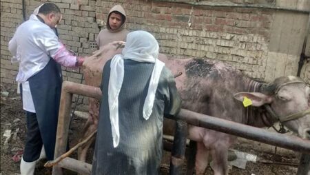 الزراعة: 241 قافلة بيطرية مجانية لدعم صغار المربين خلال يناير