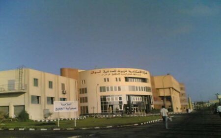 «أموك» تقترح توزيعات نقدية بواقع 40 قرشًا للسهم