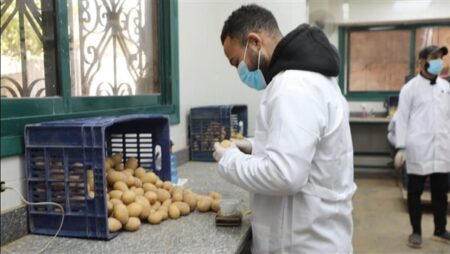 الزراعة تستعرض جهود المعمل المركزي لفحص وتصدير البطاطس خلال فبراير