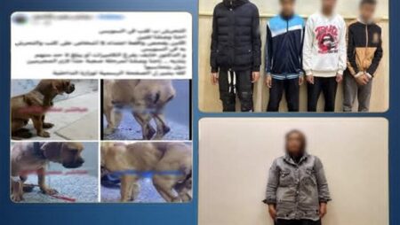 منشور كاذب لزيادة المشاهدات.. القصة الكاملة لواقعة "كلب السويس" من البلاغ إلى الضبط