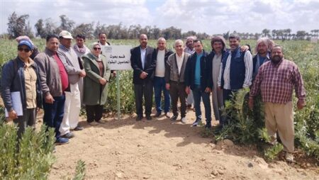 «الزراعة» تتابع برامج إنتاج التقاوي والمحاصيل الاستراتيجية بمحطة النوبارية «الزراعة» تتابع برامج إنتاج التقاوي والمحاصيل الاستراتيجية بمحطة النوبارية