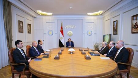 السيسي يوجه الحكومة بدعم الاستثمار والتجارة الخارجية والصناعة المحلية (فيديو)