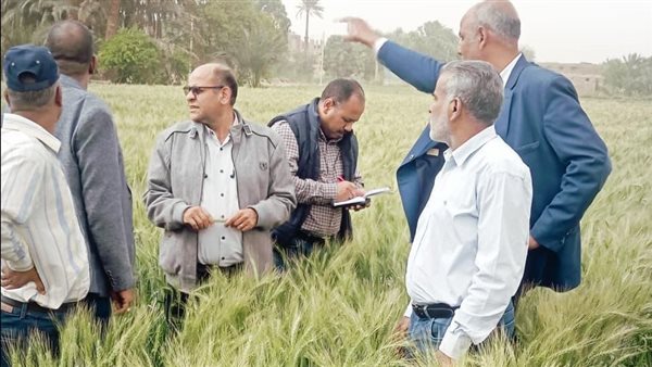 "الزراعة" تواصل متابعة المحاصيل الاستراتيجية وتكثف الدعم الفني والإرشادي للمزارعين بأسوان "الزراعة" تواصل متابعة المحاصيل الاستراتيجية وتكثف الدعم الفني والإرشادي للمزارعين بأسوان