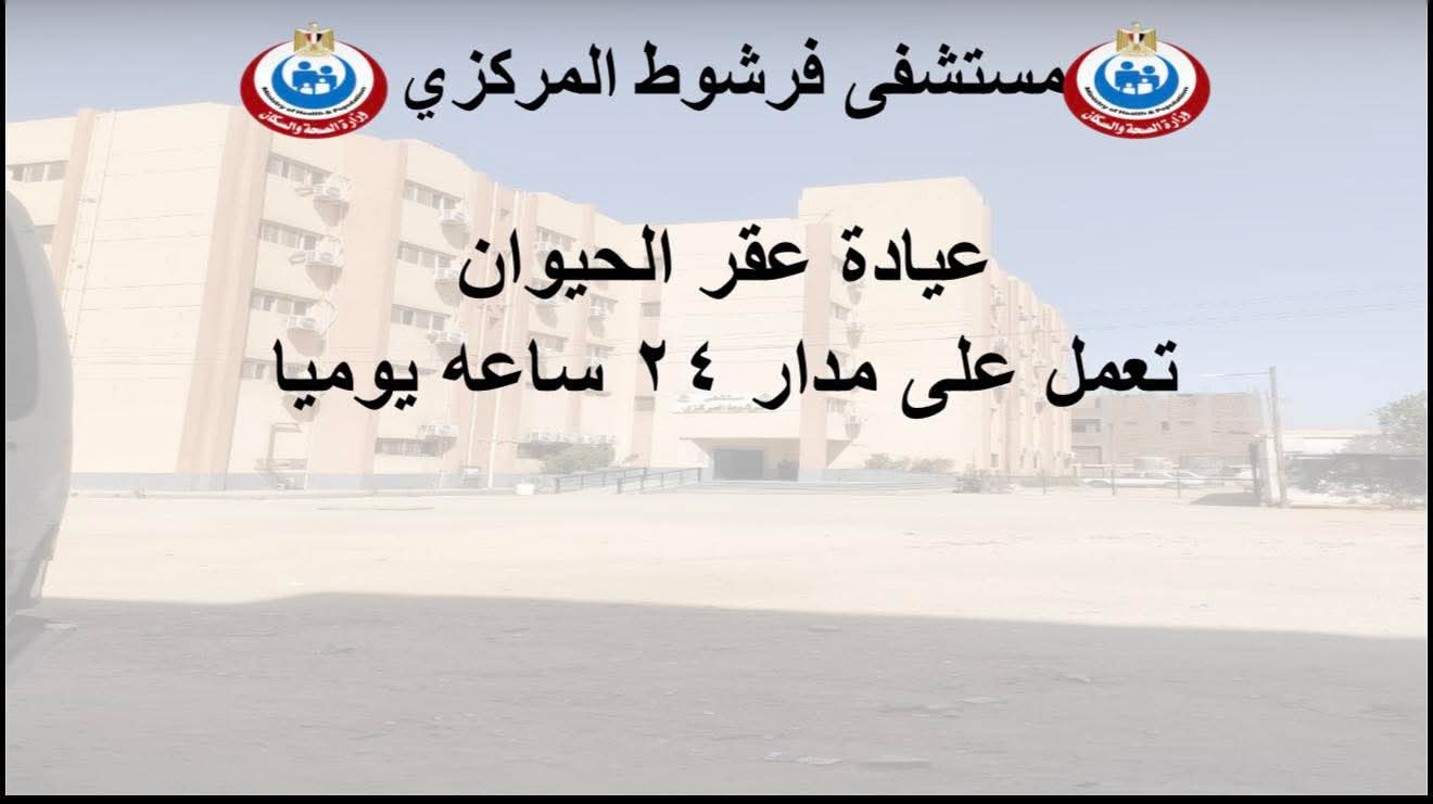 إنفوجراف|«مستشفى فرشوط» يعلن خارطة الخدمات الطبية الشاملة بالعيادات الخارجية والطوارئ