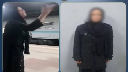 الداخلية تضبط سيدة اعتدت على راكبة بالسب والإشارات الخادشة بالقاهرة