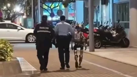 بالفيديو.. شاهد لحظة اعتقال روبوت بشري بعد إثارة ذعر امرأة