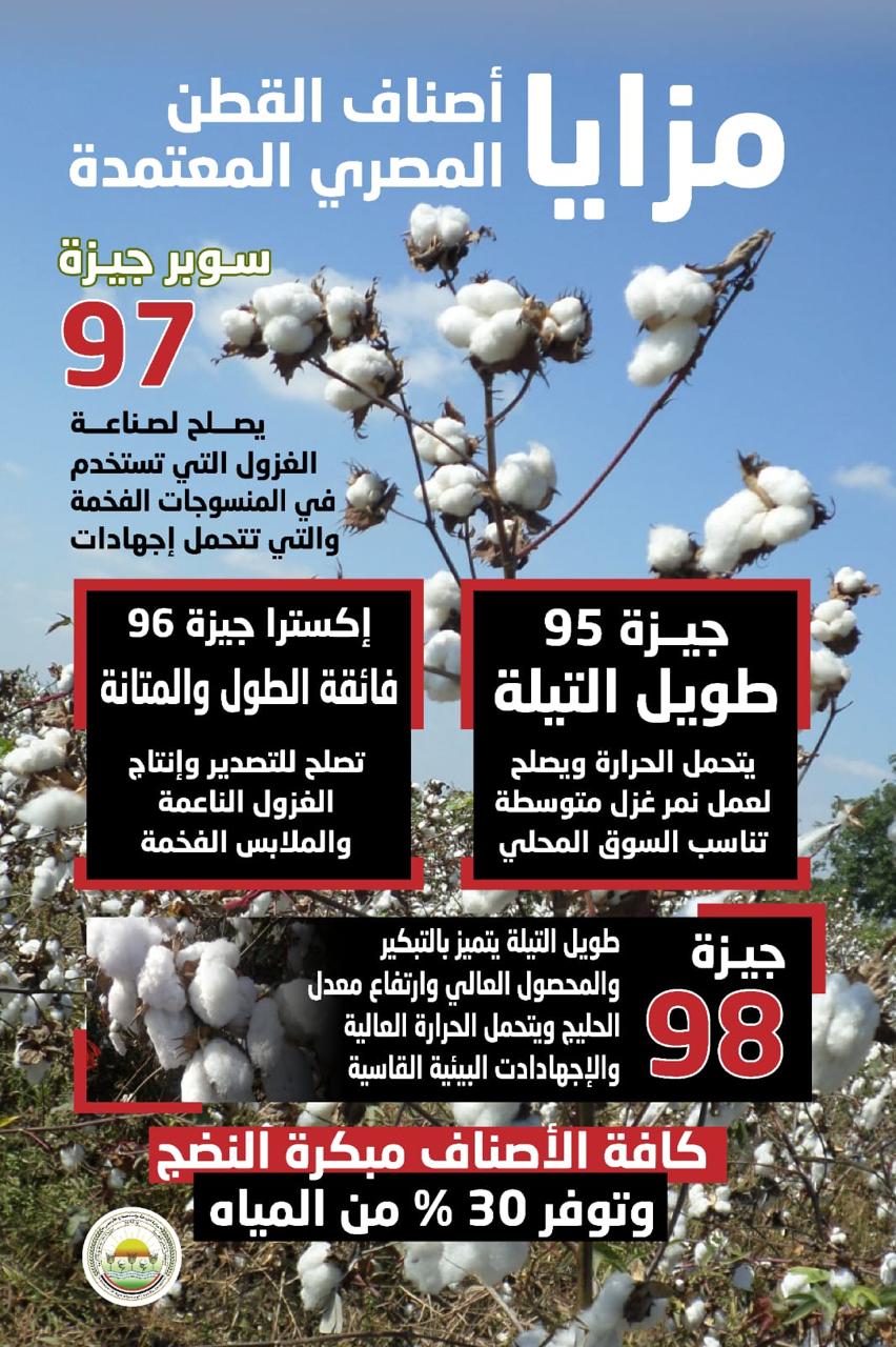 مبكرة النضج وموفرة للمياه.. خريطة أصناف القطن المعتمدة لموسم 2026.. وزير الزراعة: التزام المزارع بالصنف المحدد لمنطقته يضمن الحصول على سعر مجزي
