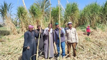 "الزراعة" تكثف لجان المتابعة الميدانية بالبحيرة والمحافظات لحل شكاوى المزارعين