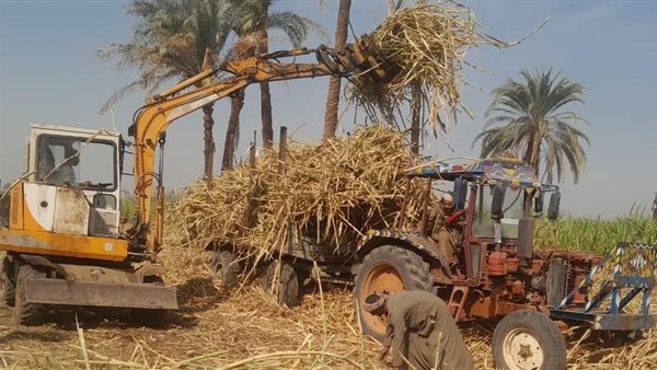 "الزراعة" تستعرض جهود "الإصلاح الزراعي" خلال فبراير "الزراعة" تستعرض جهود "الإصلاح الزراعي" خلال فبراير