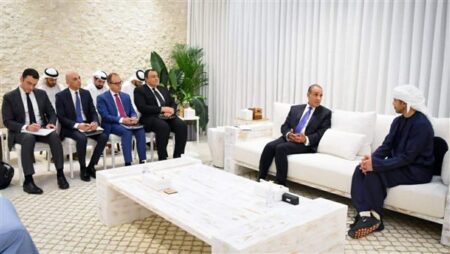 مباحثات مصرية إماراتية في العين لبحث التصعيد الإقليمي وتعزيز التعاون