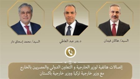وزير الخارجية يبحث مع نظيريه الباكستاني والتركي التطورات الإقليمية وجهود خفض التصعيد