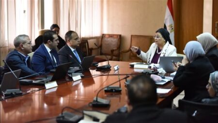 «الألفى» تناقش تدريب القابلات لخفض معدل الإنجاب ل2.1 طفل لكل سيدة بحلول 2027
