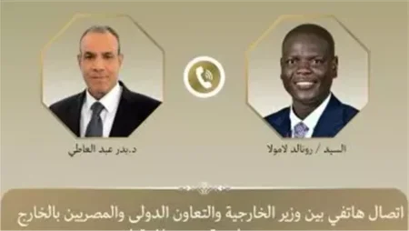 وزير الخارجية ونظيره الجنوب أفريقي يبحثان التطورات الإقليمية