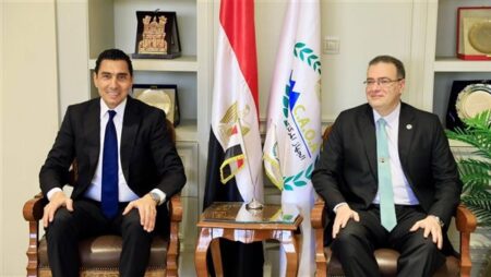 وزير الشباب يلتقي رئيس الجهاز المركزي للتنظيم والإدارة لبحث التعاون المشترك