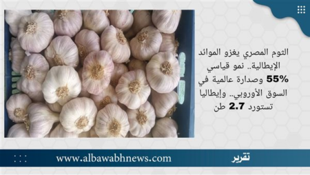 الثوم المصري يغزو الموائد الإيطالية.. نمو قياسي 55% وصدارة عالمية في السوق الأوروبي.. وإيطاليا تستورد 2.7 طن