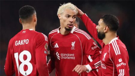 القناة الناقلة لمباراة ليفربول وفولهام اليوم في الدوري الإنجليزي القناة الناقلة لمباراة ليفربول وفولهام اليوم في الدوري الإنجليزي
