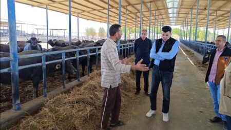 رئيس تحسين الأراضي يتفقد محطة الإنتاج الحيواني ومشروع الميكنة الزراعية بغرب المنيا