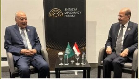 أبو الغيط يجدد تأكيد دعم الجامعة العربية للحكومة اليمنية الشرعية أبو الغيط يجدد تأكيد دعم الجامعة العربية للحكومة اليمنية الشرعية