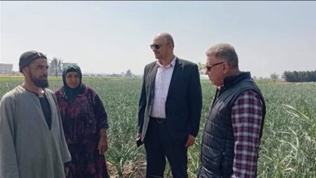 رئيس قطاع الخدمات يتابع حصاد القمح بالغربية