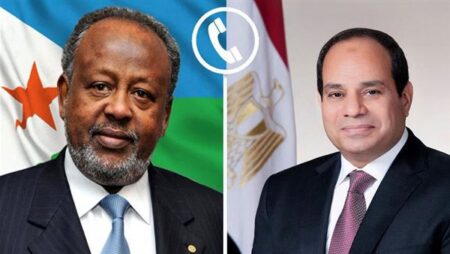السيسي: نتطلع إلى تعزيز العلاقات والشراكة الاستراتيجية مع جيبوتي في مختلف المجالات