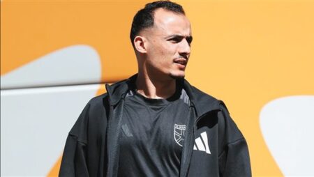 دوري الهبوط.. الجونة يختتم تدريباته استعدادا لمواجهة فاركو
