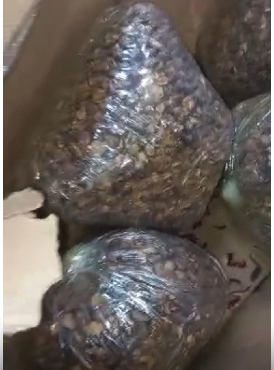 جمارك مطار القاهرة تضبط راكبًا بحوزته 3.5 كجم من مخدر القات