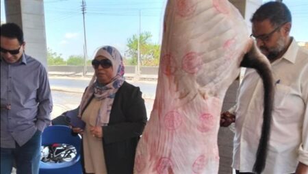 "الزراعة" تشن حملات رقابية موسعة بالمحافظات لمواجهة ذبح البتلو والذبح خارج المجازر