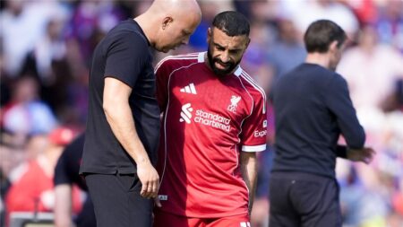 إيكو تتوقع موعد عودة محمد صلاح بعد إصابته مع ليفربول إيكو تتوقع موعد عودة محمد صلاح بعد إصابته مع ليفربول