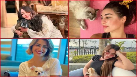 أبرزهن نرمين الفقي وياسمين صبري.. 10 فنانات ظهرن بصحبة حيواناتهن الأليفة