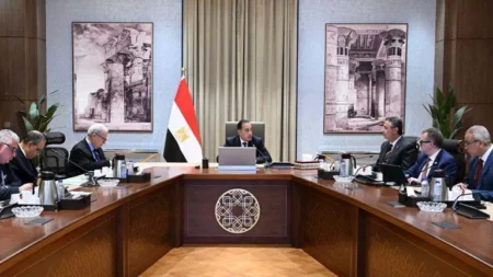 تكليفات عاجلة بإعداد دراسة جدوى لإنشاء مركز الحبوب والزيوت العالمي في مصر - تفاصيل