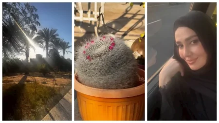 بالحجاب.. حلا شيحة في أحدث ظهور: "يارب أجعلنا من أهل الجنة" بالحجاب.. حلا شيحة في أحدث ظهور: "يارب أجعلنا من أهل الجنة"