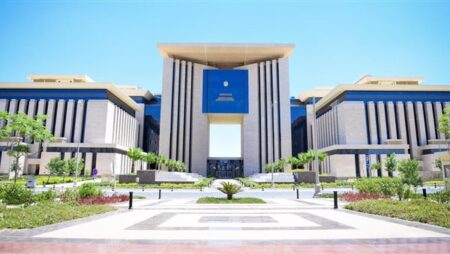 مصر تدين الهجمات الإرهابية في مالي