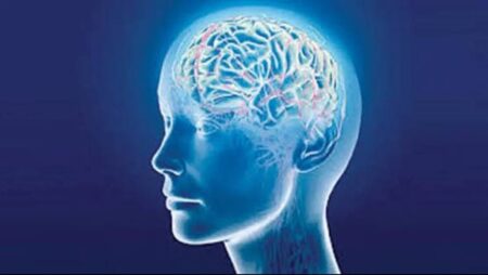دراسة حديثة تكشف دور الدماغ في دمج الذاكرة ونظام المكافأة لتوجيه السلوك دراسة حديثة تكشف دور الدماغ في دمج الذاكرة ونظام المكافأة لتوجيه السلوك