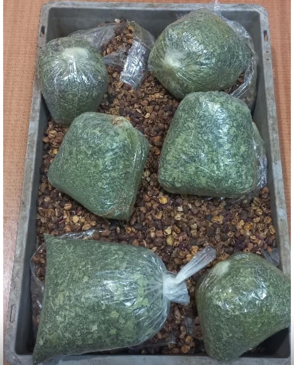 جمارك مطار القاهرة تضبط راكبًا بحوزته 3.5 كجم من مخدر القات