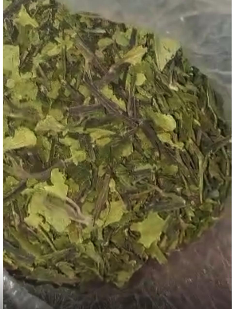 جمارك مطار القاهرة تضبط راكبًا بحوزته 3.5 كجم من مخدر القات