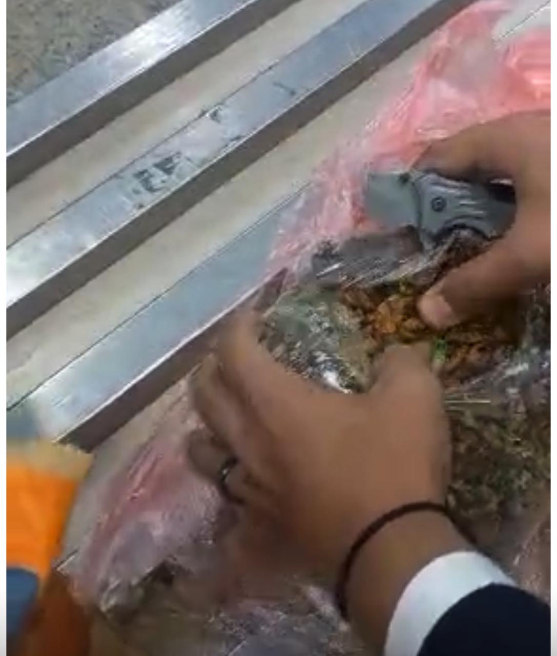 جمارك مطار القاهرة تضبط راكبًا بحوزته 3.5 كجم من مخدر القات