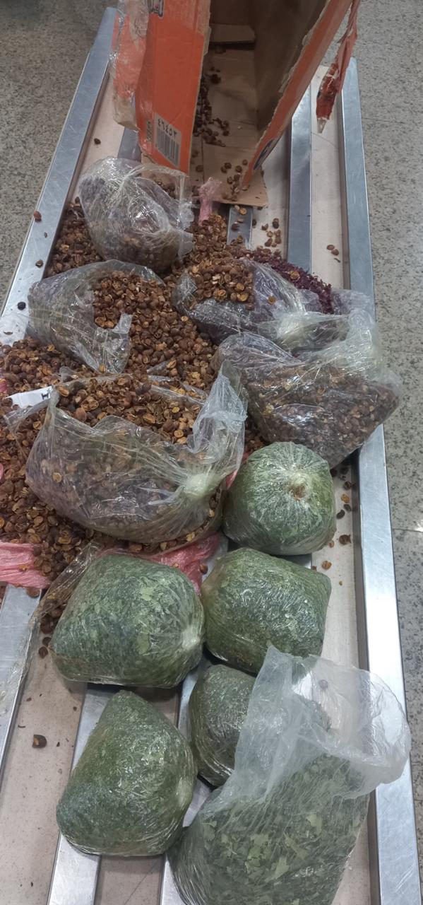 جمارك مطار القاهرة تضبط راكبًا بحوزته 3.5 كجم من مخدر القات