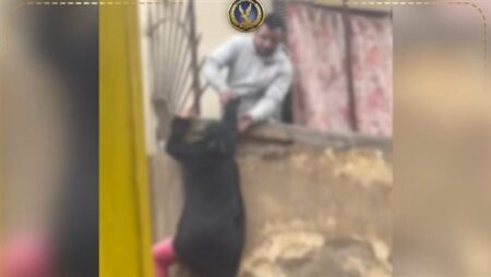 الداخلية تكشف ملابسات فيديو محاولة فتاة إلقاء نفسها من شرفة بالقاهرة