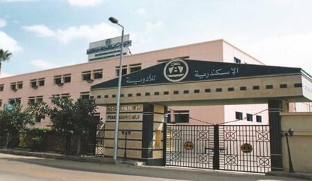 «الإسكندرية للأدوية» تستهدف 690 مليون جنيه أرباحًا في موازنة 2026-2027