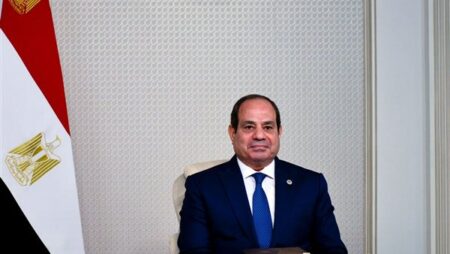 5 رسائل مهمة من السيسي للأمين العام لمنظمة OECD.. تعرف عليها