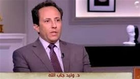 وليد جاب الله: الأداء النقدي في مصر جيد لكن المخاطر العالمية أكبر من أي اقتصاد وليد جاب الله: الأداء النقدي في مصر جيد لكن المخاطر العالمية أكبر من أي اقتصاد