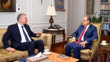 وزير الخارجية يستقبل وزير البترول والثروة المعدنية