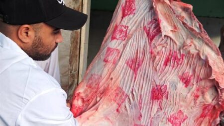 "الزراعة" تواصل الطوارئ في أول أيام العيد.. الإشراف على ذبح الأضاحي مجاناً بالمجازر.. وحملات مرور مكثفة لحماية الأراضي بـ8 محافظات