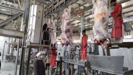 "التنمية المحلية": انتظام فتح الحدائق العامة والمتنزهات وإتاحة المجازر الحكومية أمام المواطنين